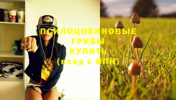 дмт Алзамай