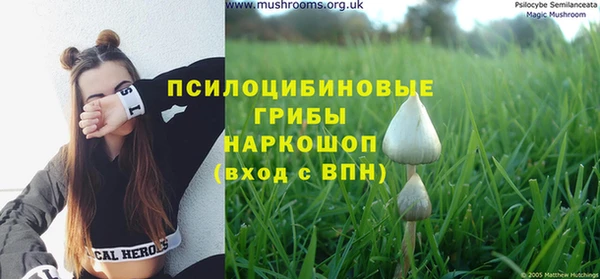 дмт Алзамай