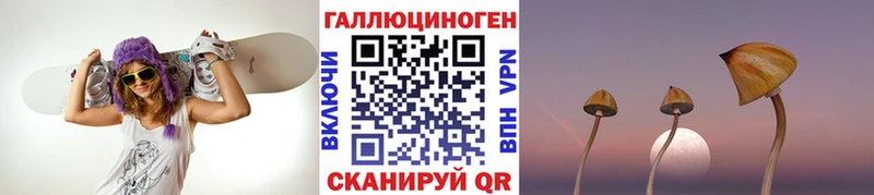 Псилоцибиновые грибы MAGIC MUSHROOMS Курчалой